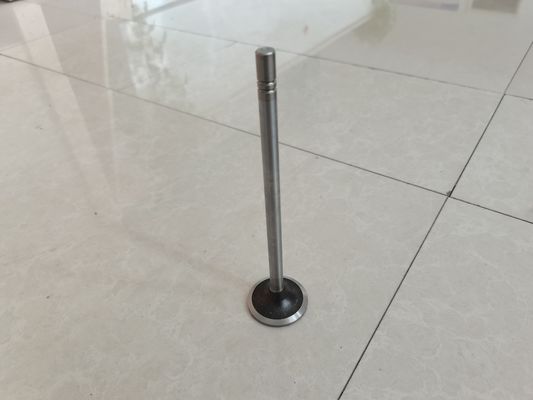 Engine Intake Valve Exhaust Valve Parts 252-7802 224-3030 Disesuaikan