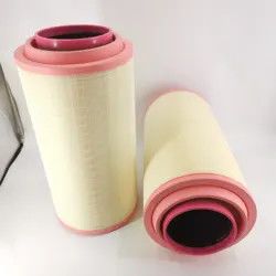 Suku Cadang Pengganti Filter Udara Mesin AF25767 3840036 24424482