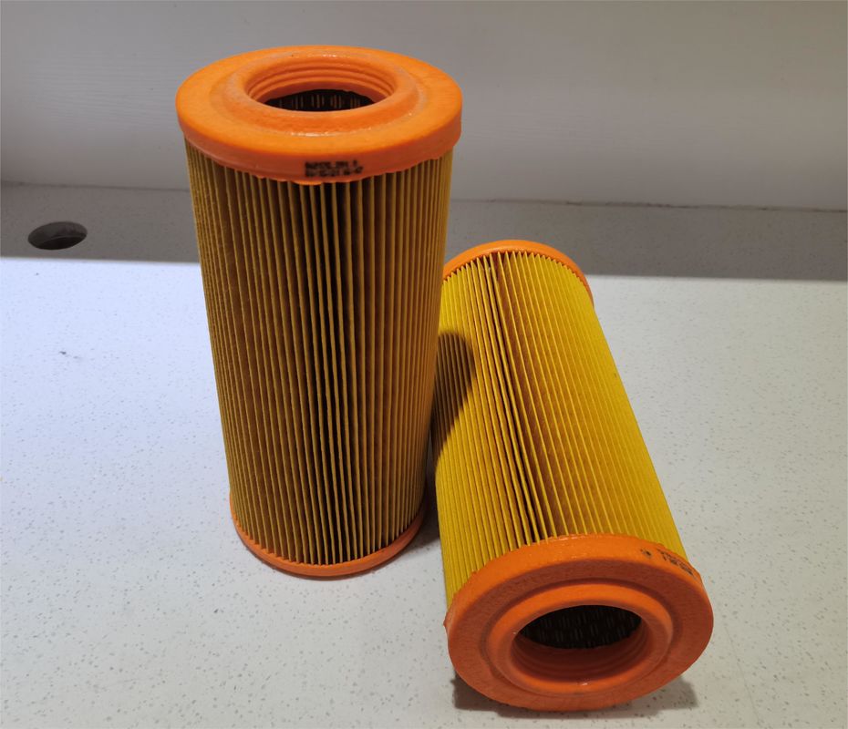 Kualitas tinggi Otomotif mesin air filter elemen 2175291